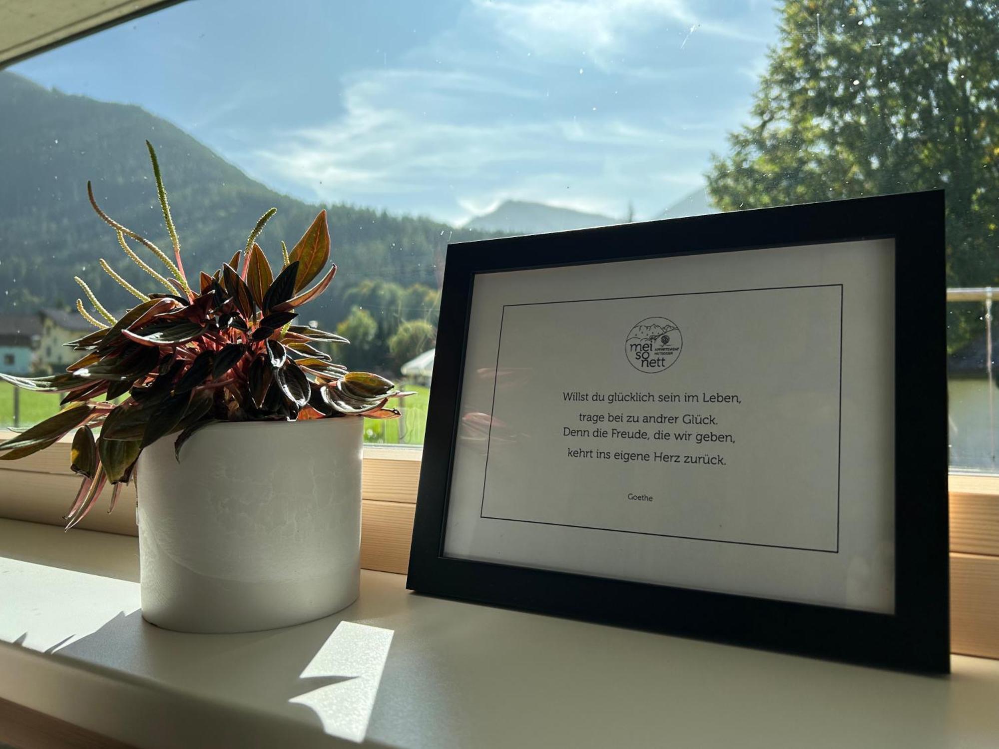 Mei-So-Nett Appartement Hutegger Schladming Buitenkant foto